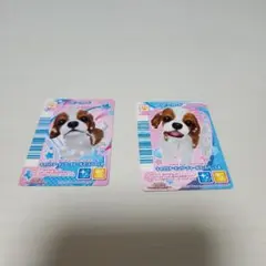 みーこ様専用　ワンタメ