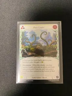 ポンカン様 リクエスト 2点 まとめ商品