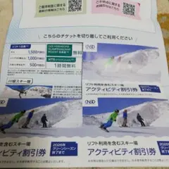 匿名発送 日本駐車場開発 日本スキー場開発 株主優待 割引券3枚