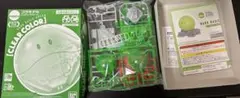 HAROPLA HARO BASIC GREEN CLEAR COLOR