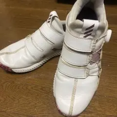 最終値下げ　スパイクレスadidasゴルフシューズ24.5〜25