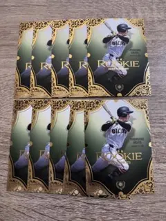 Item thumbnail for item fb13c390-588d-4c3c-a8e6-f52759d7a85a