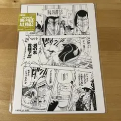 ONE PIECE オールページ　クロコダイル　チャカ