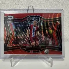 ERLING HAALAND /59
