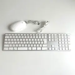 Apple Macキーボード A1243 マウス A1152【NN1204-7】