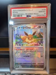 2025年最新】マスターボール イーブイの人気アイテム - メルカリ