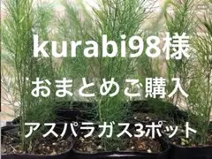 kurabi98様 リクエスト 3点 まとめ商品