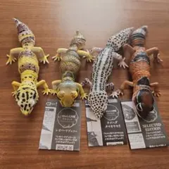 いきもの大図鑑アドバンス レオパードゲッコー ニシアフリカトカゲモドキ