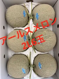 九州産アールスメロン　3L5玉 九州産アールスメロン 3L5玉 - メルカリ