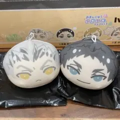 2026年最新】赤葦 おまんじゅうの人気アイテム - メルカリ