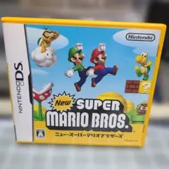New スーパーマリオブラザーズ DS ソフト