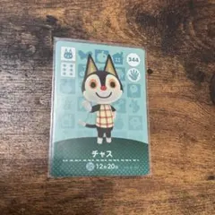チャス　あつ森　あつまれどうぶつの森　amiibo