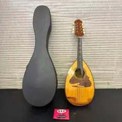 Blanton ブラントン フラットマンドリン ハードケース付き　M3065 Blanton ブラントン フラットマンドリン ハードケース付き M3065