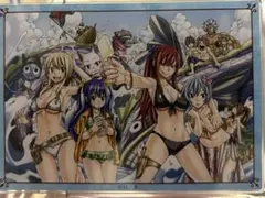 FAIRYTAIL フェアリーテイルB2タペストリー2点セット 2014年発売