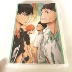 ハッピーくじ ハイキュー!! G賞　ポストカードブック　烏野　青葉城西