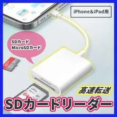 Item thumbnail for item 58107170-cd01-45c3-82f1-eb2fc3704817