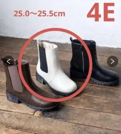 Item thumbnail for item 62719e5e-eb81-4d1b-8e8b-eeae4ef05741