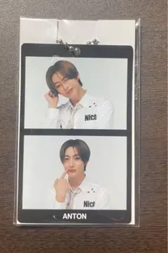 アントン ランダムトイ 2カットフォトカードチャーム