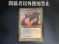 MTG 血染めのぬかるみ 日本語 1枚 - メルカリ