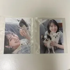櫻坂46 山下瞳月 サクコレ C賞 サイン入り ミニ色紙 FC - メルカリ