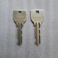 Item thumbnail for item 07b8a12b-1e7d-4456-8929-18a1b162cd41