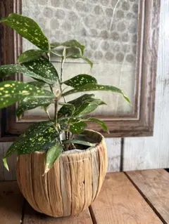 なつこ様 リクエスト 2点 まとめ商品