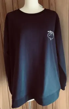 【新品タグ付き】PEANUTS SNOOPY スヌーピー刺繍デザインスウェット