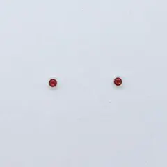 あんさんぶるスターズ！　朔間零　逆先夏目　コスプレ