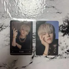 TREASURE ナイトガーデン ヨシ