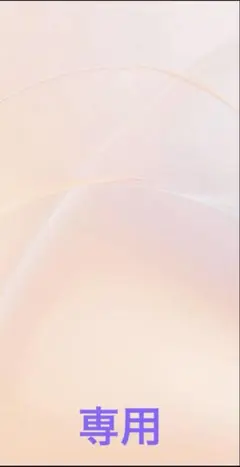 【専用】