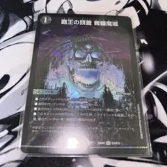 覇王の頭蓋　髑髏魔城