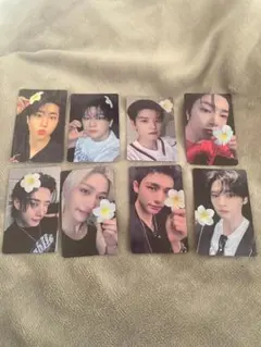 straykids karma everline トレカ　８枚セット