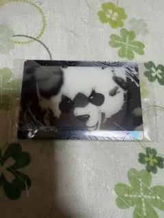 呪術廻戦 ウエハース パンダ