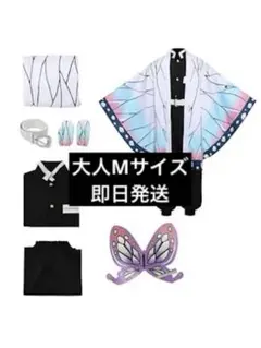 胡蝶しのぶ コスプレセット