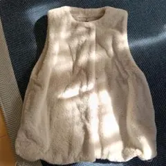 ジーナシス　エコファーベスト