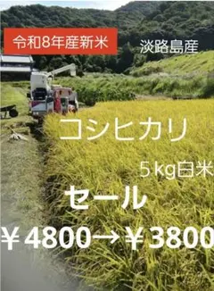 令和8年新米】兵庫県淡路島産キヌヒカリ5キロ(低農薬白米)農家直送