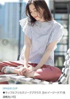 近年2024✨デプレ コットンナイロン シアータフタ バックプリーツ