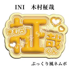 【匿名配送】木村柾哉 INI ぷっくりネームボード ファンサうちわ文字 294