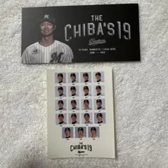 千葉ロッテマリーンズ 唐川侑己 引退記念カード　ステッカーセット