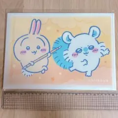 ちいかわ　キャンドゥ　セリア　ボタン付きA4クリアファイル　うさぎ　モモンガ