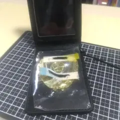 Item thumbnail for item 43f3ed08-df44-4b4b-b3ad-325ab9179669