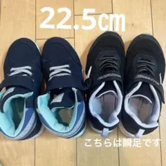 Item thumbnail for item 68410b3c-032f-454d-8ad3-e4d1e92bf6b3