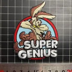 アイロンワッペン★42★ROAD RUNNER