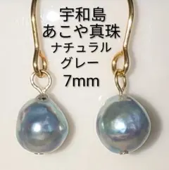 宇和島産　当年越物　あこや真珠　希少　ナチュラルグレー　パールピアス　本真珠