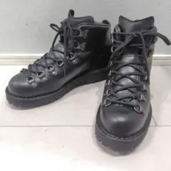 【美品】Danner マウンテンライト 31531 US7.5M ブラック