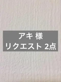 アキ様 リクエスト 2点 まとめ商品