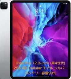 極美品 iPad Pro 12.9 第4世代 256GB WiFi+Cell