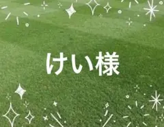 けい様