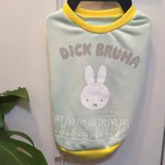 Item thumbnail for item 70aadacf-a579-4678-b6a1-c6c857f863cb