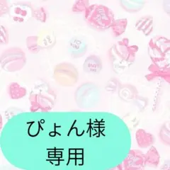 ぴょん様専用ページです